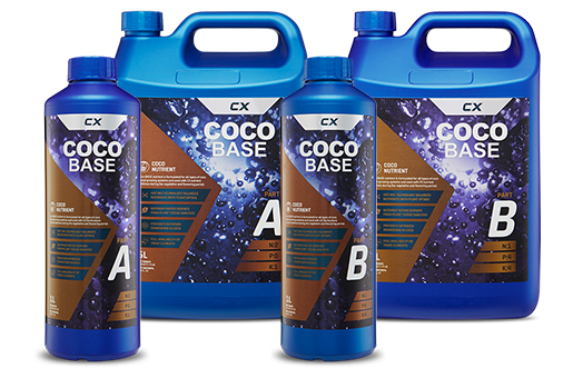 coco-base-family