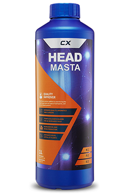 head-masta-1ltr